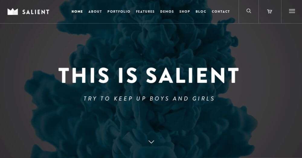 Salient-WordPress-Theme-Review.jpg